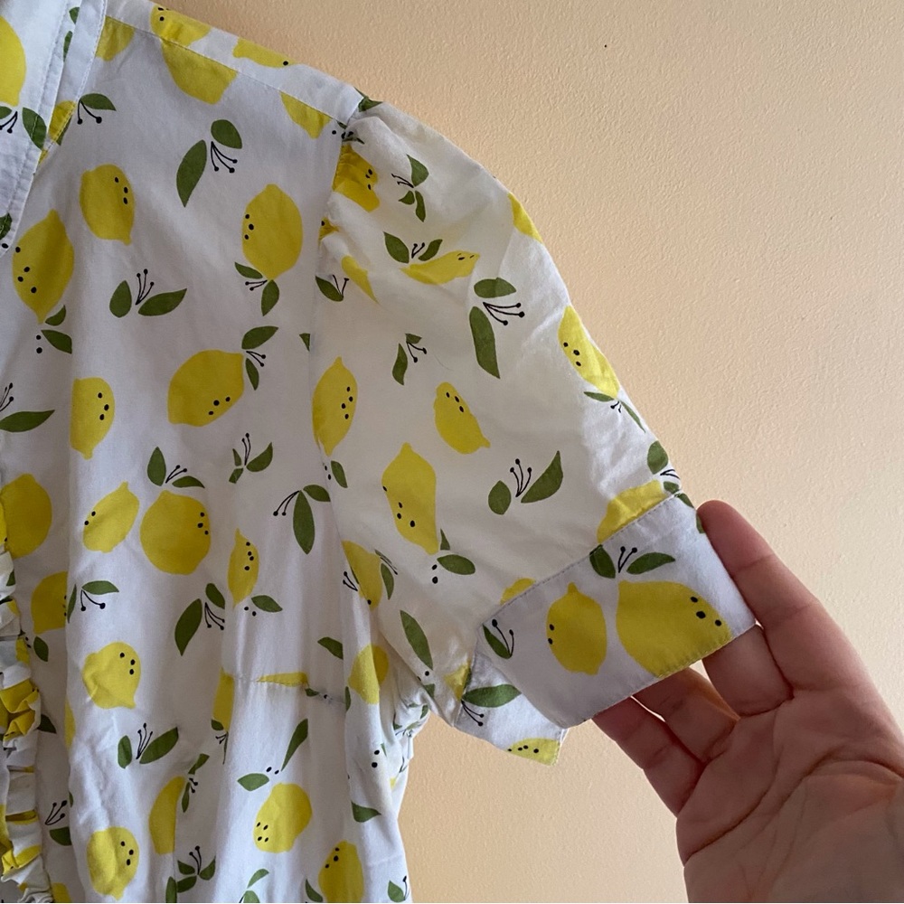 eShakti Lemon Print Dress Woman 2X Pockets Button Front Fit & Flare Cottagecore - Picture 6 of 12